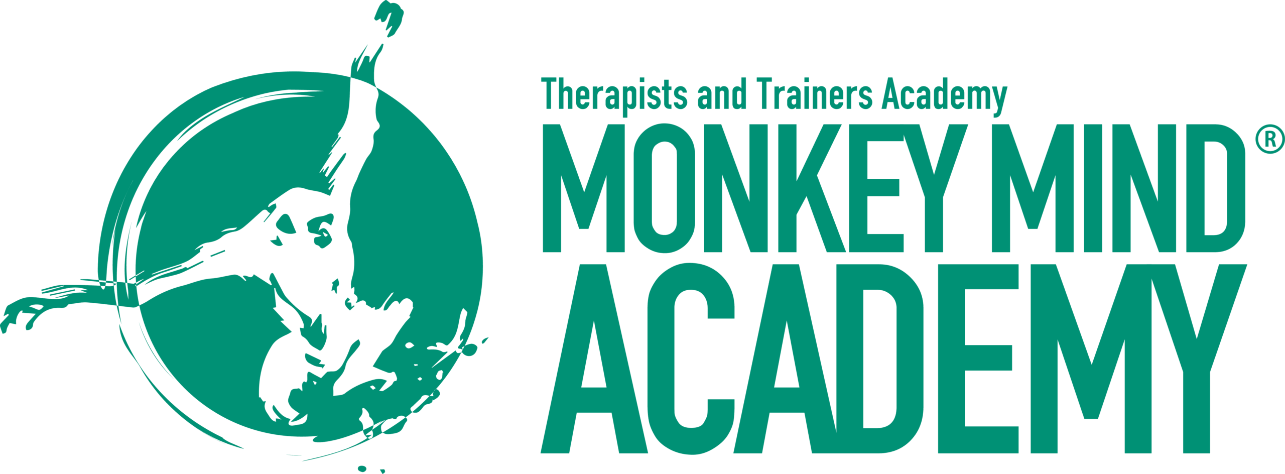 Monkey Mind Academy